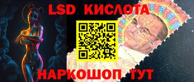 шишки Новозыбков