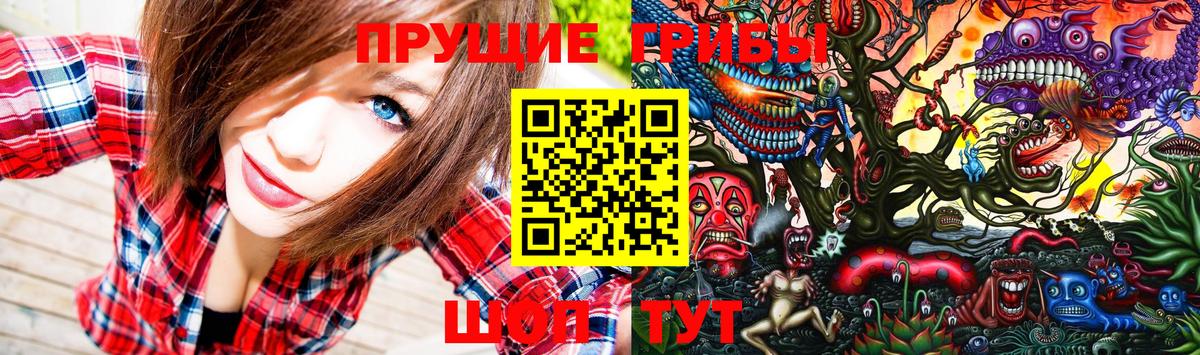Урай  Псилоцибиновые грибы GOLDEN TEACHER  Вход с VPN 