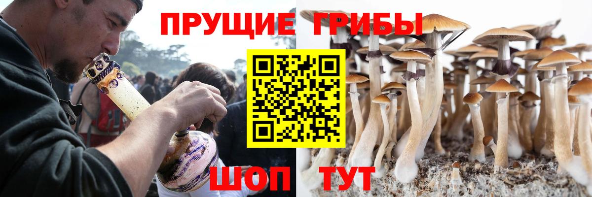 Псилоцибиновые грибы прущие грибы Урай